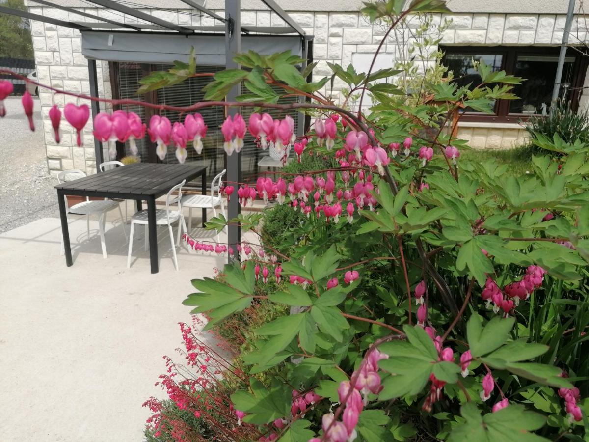 Apartments Bukor Lukovica pri Domzalah Экстерьер фото